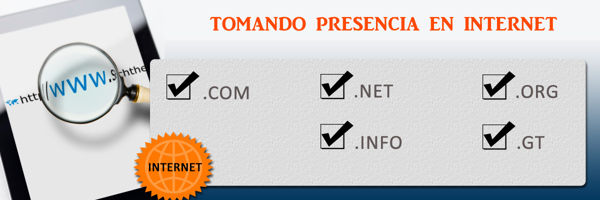 Dominios Web