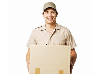Entrega